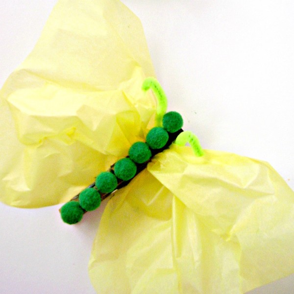 Butterfly craft with tissue paper wings