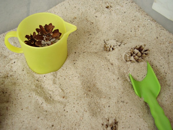 Dig up small pine cones in the sandbox