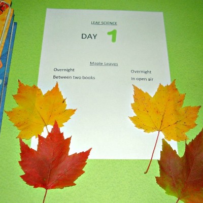 Leaf science