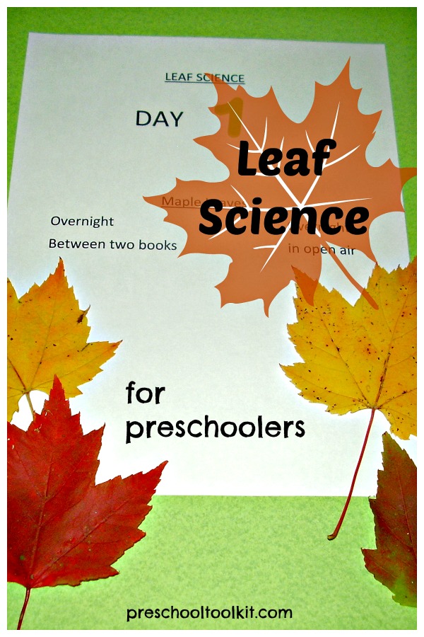 Fall leaves science activity for kids