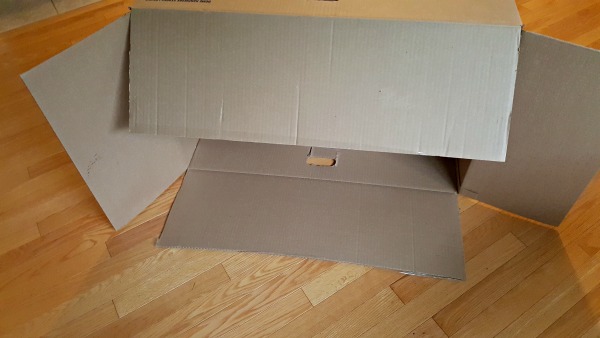 Place the cardboard box on its side to make the theater.