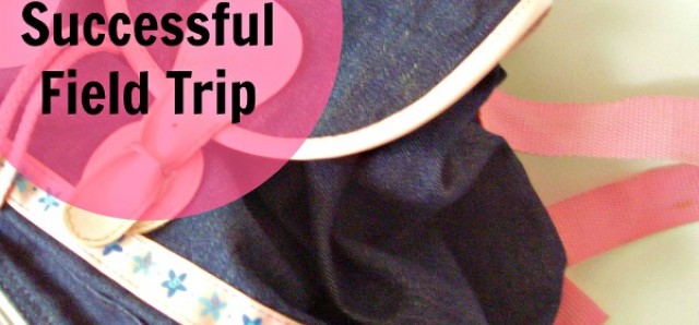 Tips for planning successful field trips with preschoolers