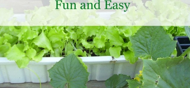 Gardening tips for fun and easy hands on learning with preschoolers