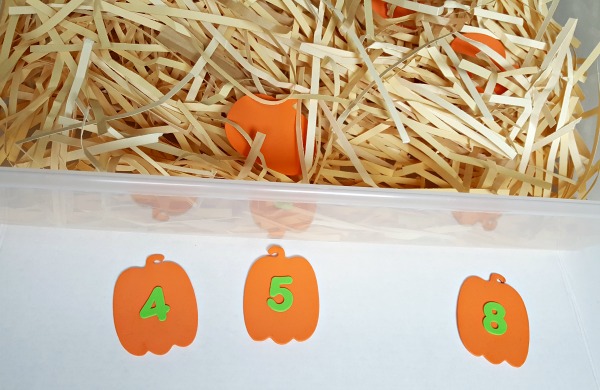 Place numbered pumpkin out outs in the sensory bin