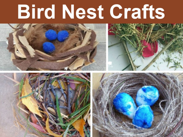 bird nests spring crafts for kids