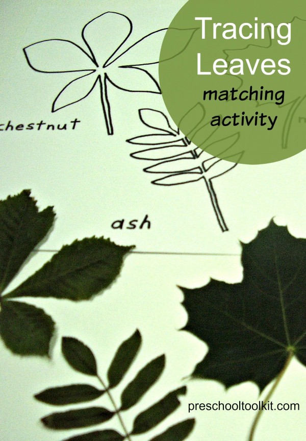 Preschool math with leaves