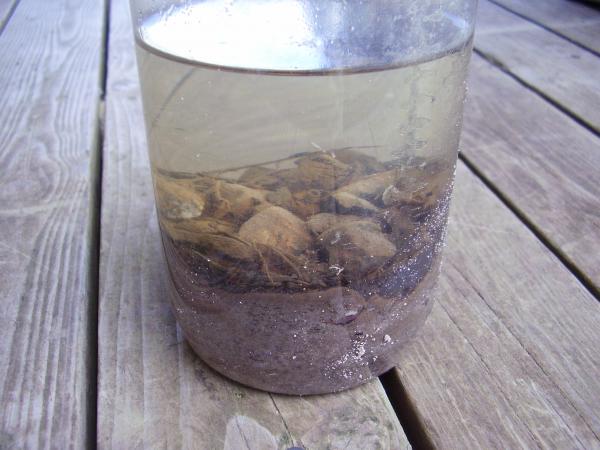 Materials separate in a jar when the water settles