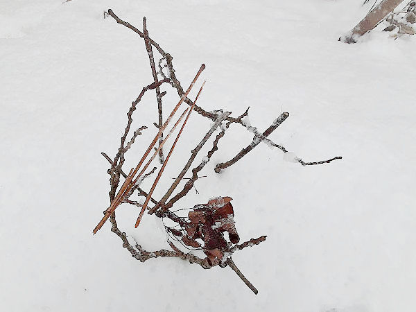 Snow day play with natural materials