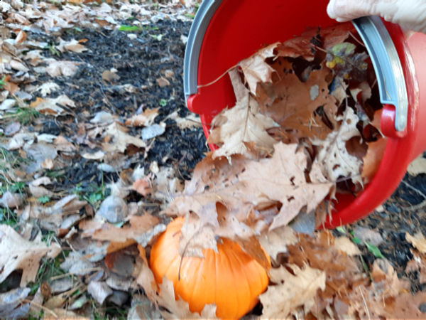 rake leaves in outdoor play with pumpkins