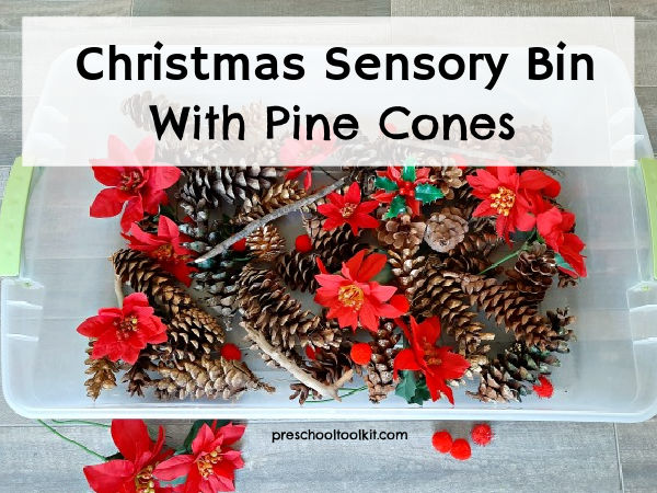 pine cones in the sensory bin for kids hands-on play