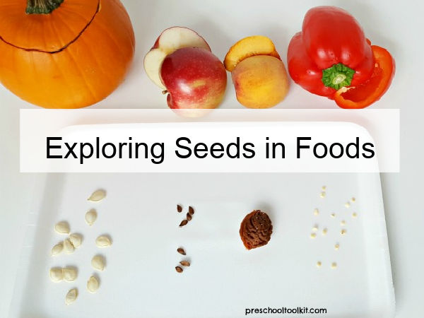 science of seeds activities for preschool and kindergarten