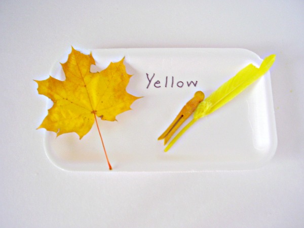 Autumn leaf activities for preschoolers