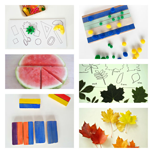Teach early math skills with everyday materials