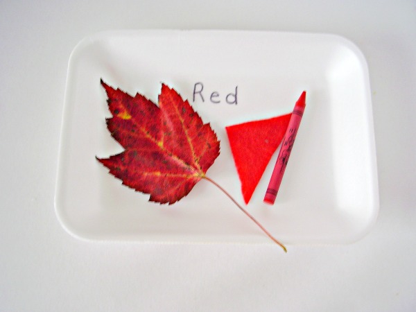 Preschool activities with fall leaves