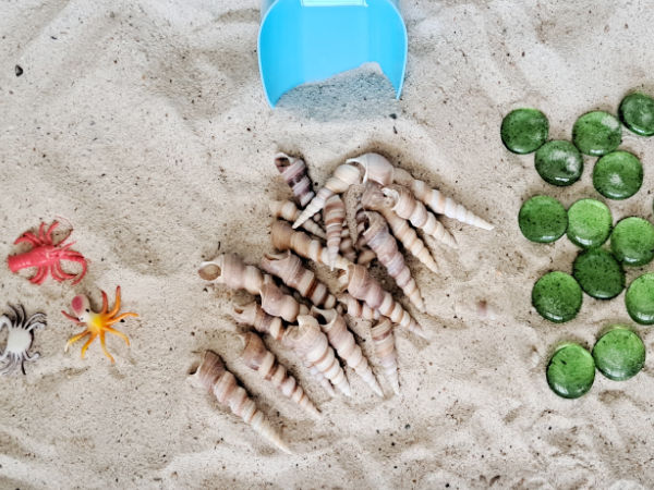 Sensory bin with sand and sea shells for preschool