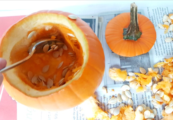Pumpkin seeds from a real pumpkin can be used for math activities