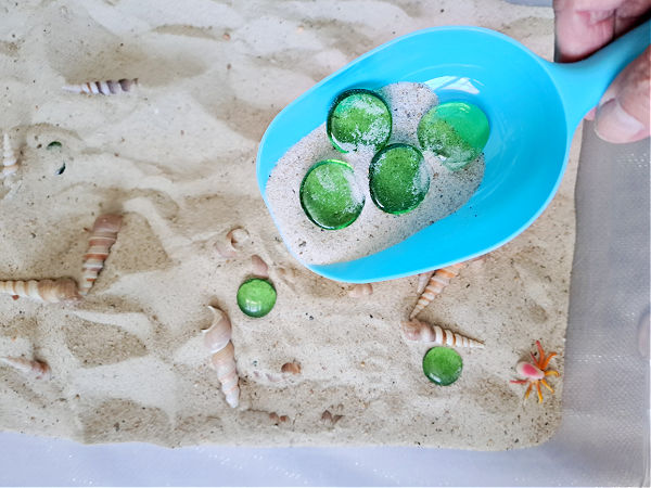 Sand and shells preschool sensory bin