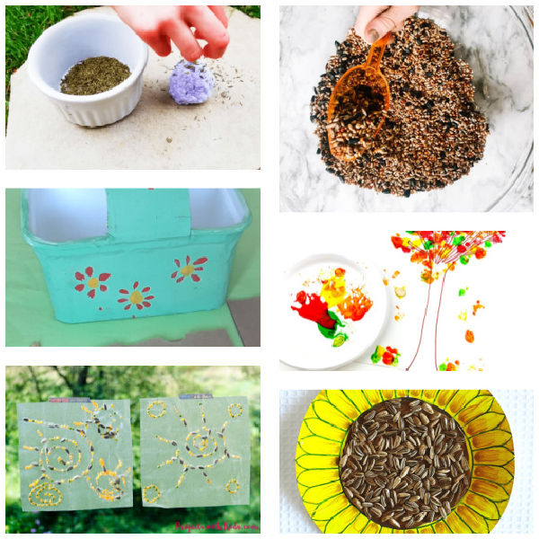 Kids crafts using seeds from plants and foods