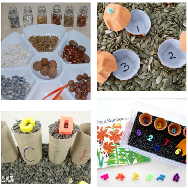 Sensory play with seeds in the sensory bin