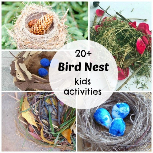 20+ bird nest kids activities indoor and outdoor fun
