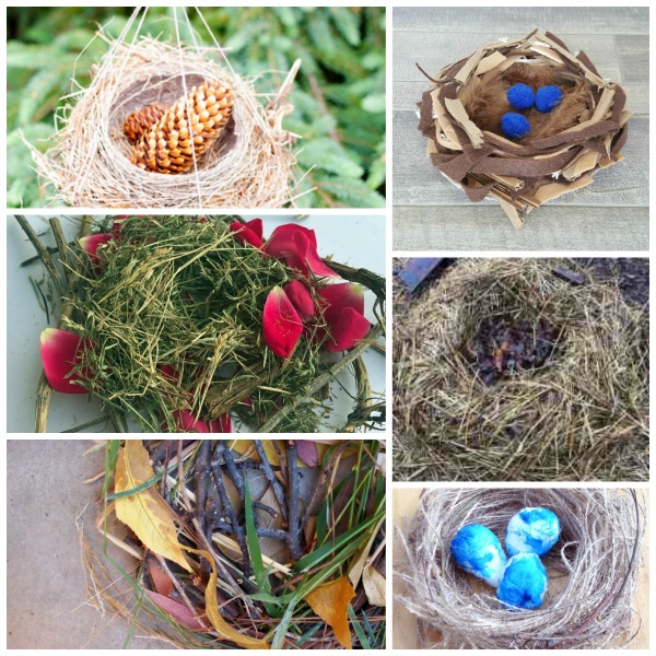 Bird nest STEAM activities for kids