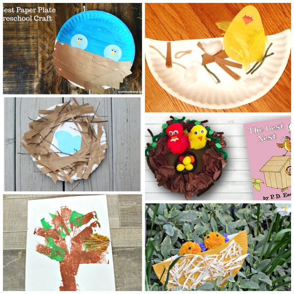 Bird nest art and craft activities