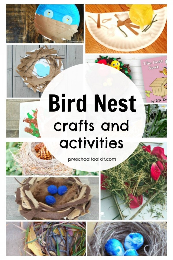 Bird nest crafts indoor and outdoor activities for kids