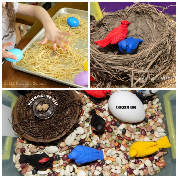 Bird nest sensory bin activities