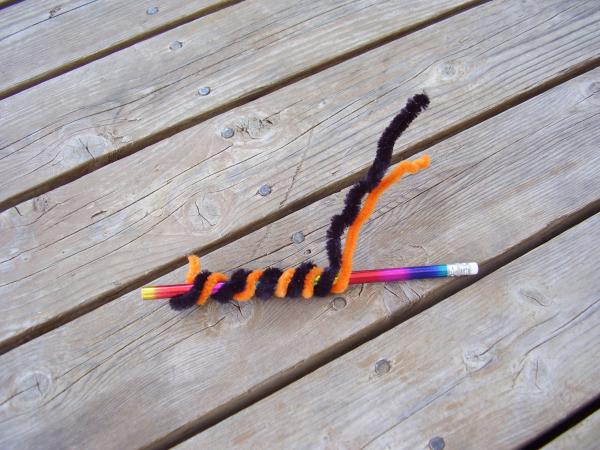 Caterpillar craft with chenille stem