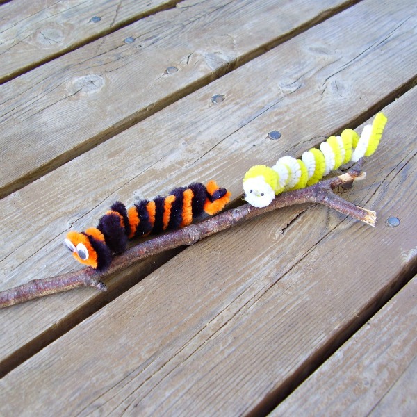 Chenille stem caterpillar craft