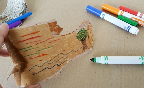 Color the tree bark interior with crayons or markers