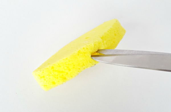 Cut into sponge with scissors