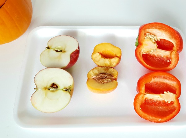 Cut open foods to reveal the seeds