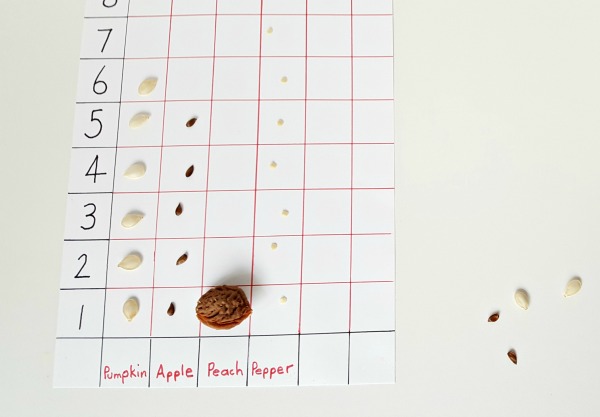 Draw a simple graph for sorting seeds.