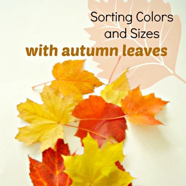 Fall theme sorting activity with colorful leaves