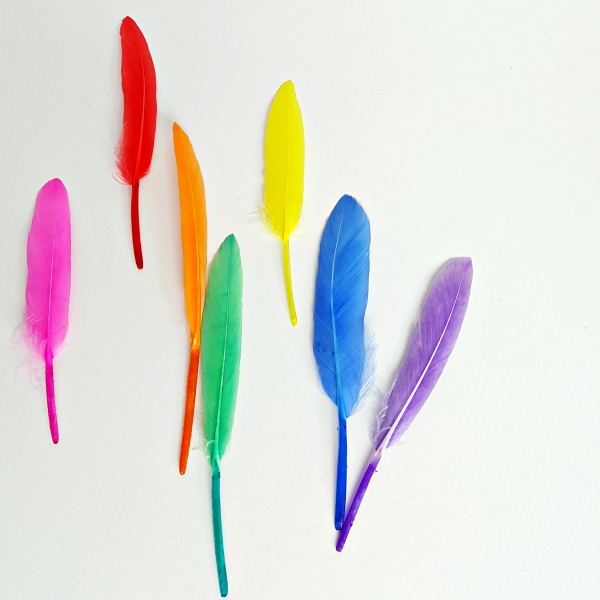Feather rainbow preschool activity