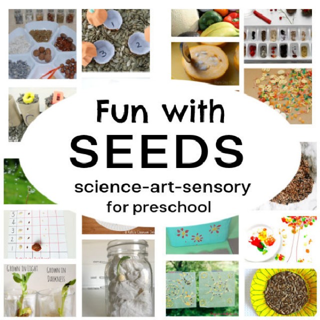Fun with seeds for preschool and kindergarten