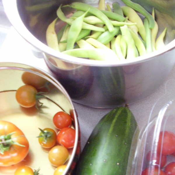 Kids can help harvest and enjoy home grown vegetables.