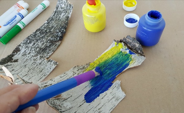 Nature study and painting activity with tree bark