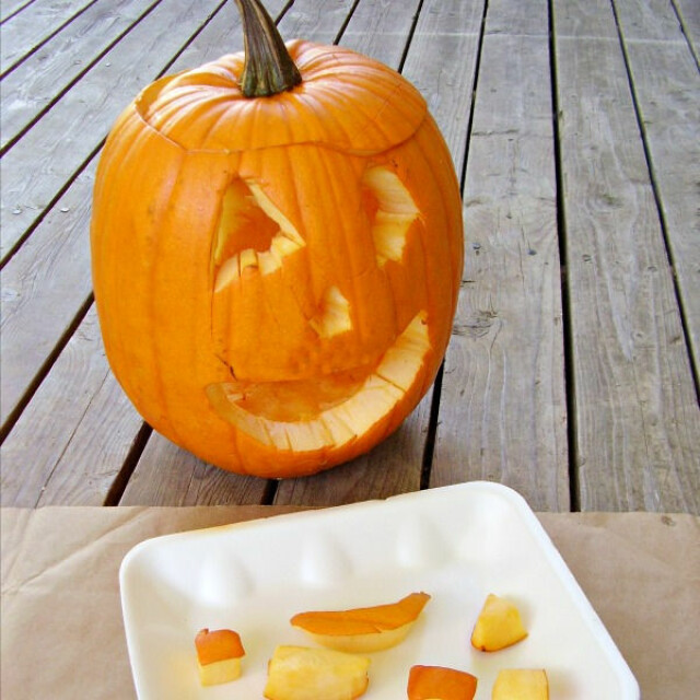 Pumpkin paint stamps art activity for kids