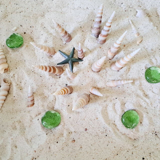 Sand play in the sensory bin with shells and rocks