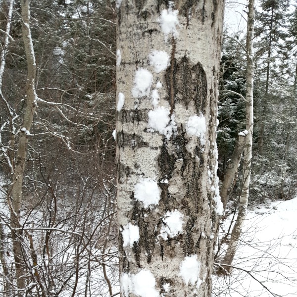 Winter fun with outdoor snow play