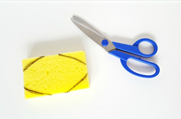 Trim sponge to shape of fish