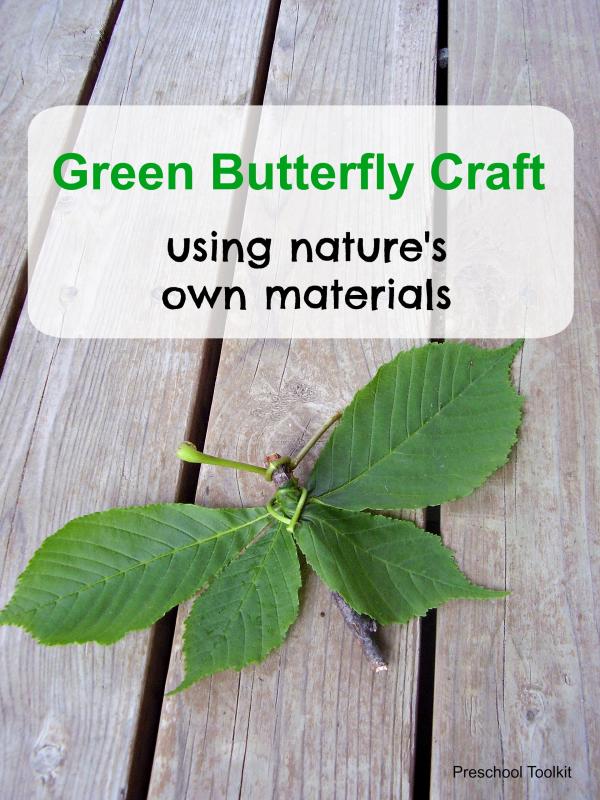 Butterfly nature craft