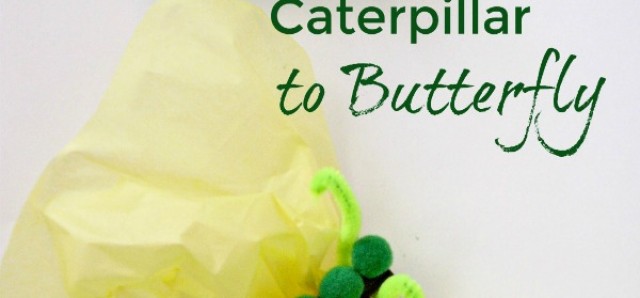 caterpillar to butterfly preschool craft