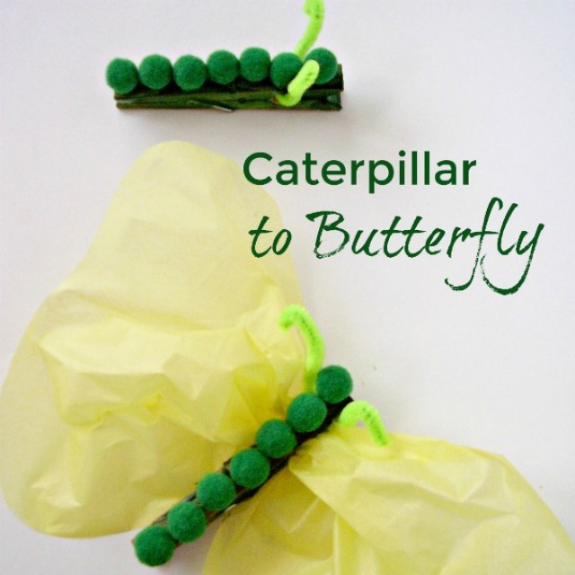 caterpillar to butterfly preschool craft