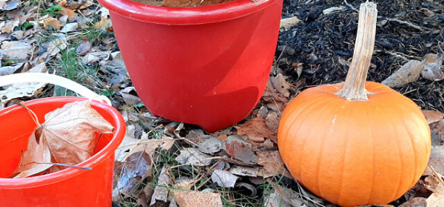 fall outdoor play with pumpkins and leaves