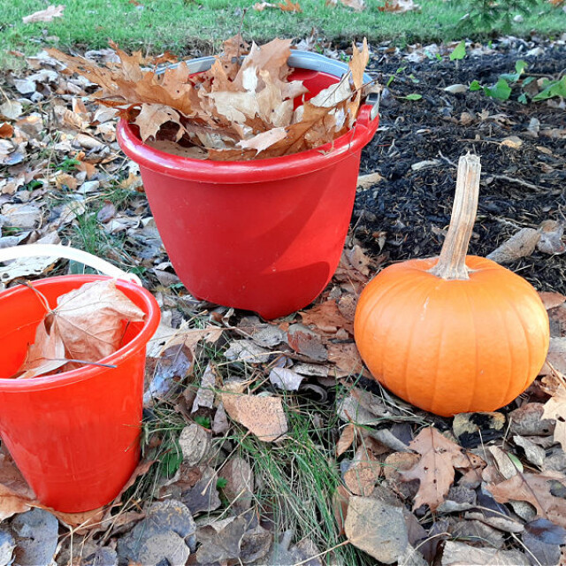 fall outdoor play with pumpkins and leaves