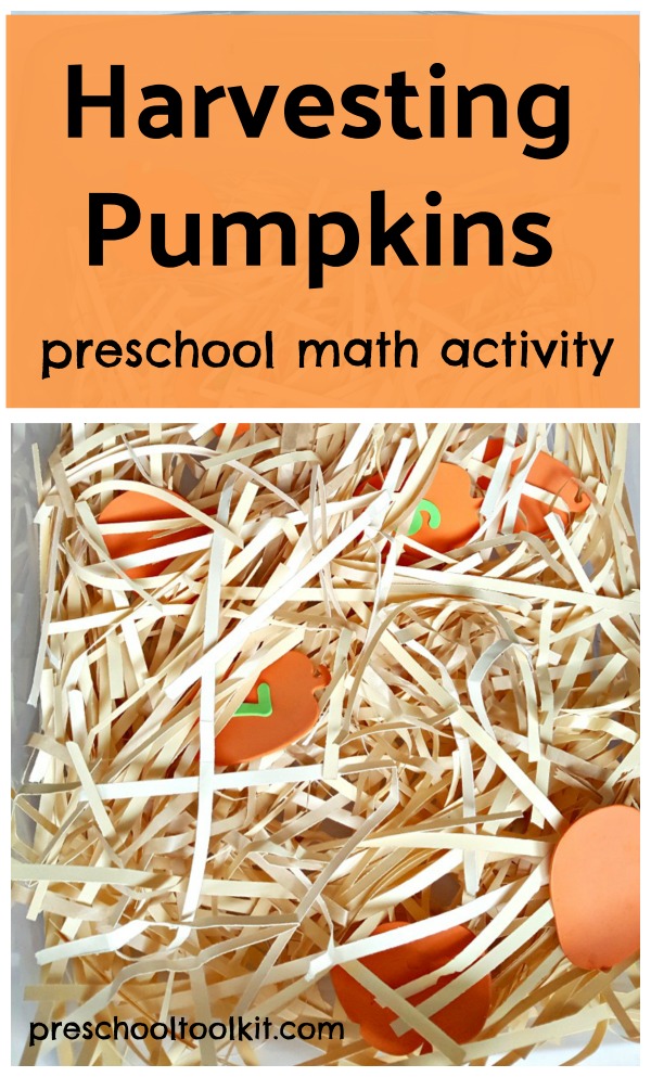 Harvesting pumpkins preschool math activity