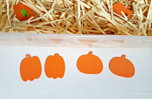 Match pumpkin shapes in the sensory bin math activity